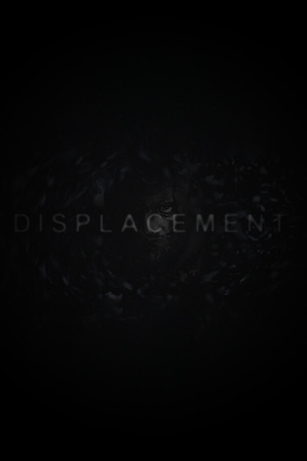 Steam portrait for Displacement.