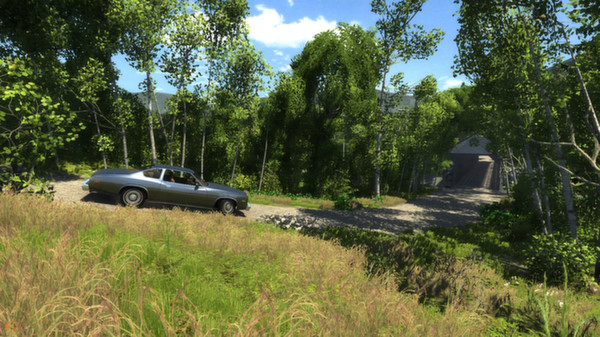 BeamNG.drive