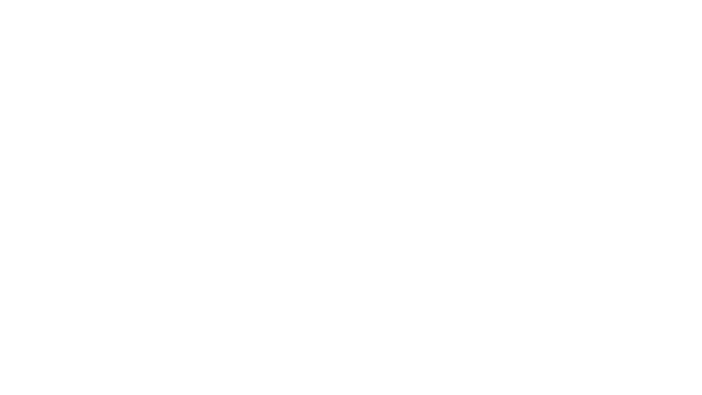 Anomaly Echoes Logo
