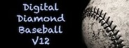 Digital Diamond Baseball V12 System Requirements