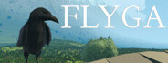 Flyga System Requirements