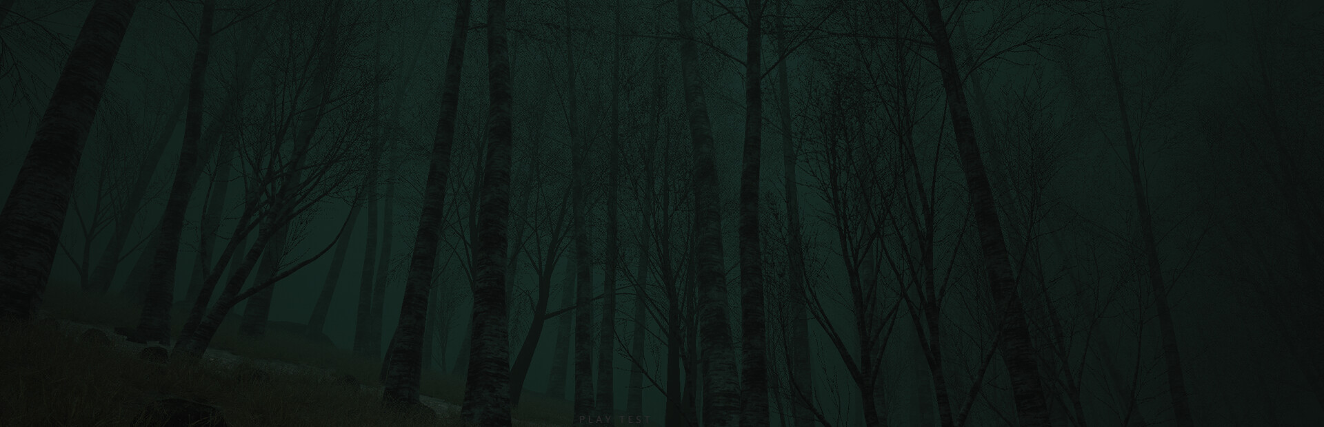 Descending The Woods