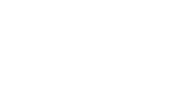 Anomaly Hunter - Observation Duty Logo