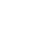 Last Summer Logo