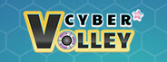 Cyber Volley System Requirements