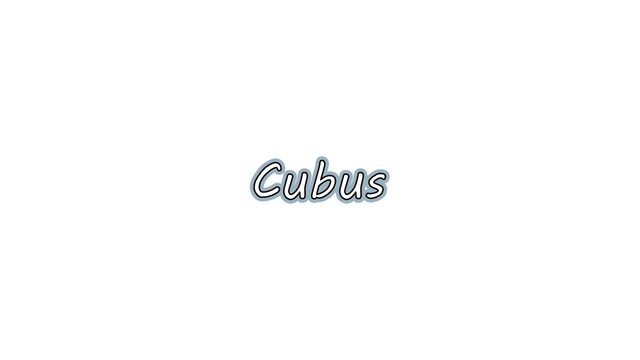 Cubus Logo