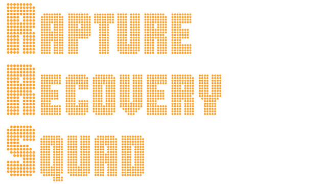 Rapture Recovery Squad Logo