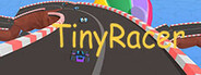 TinyRacer System Requirements