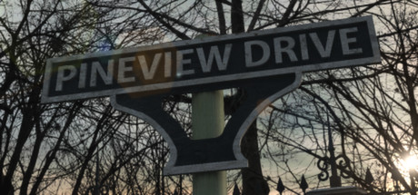 Pineview Drive cover art