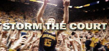 Storm The Court cover art