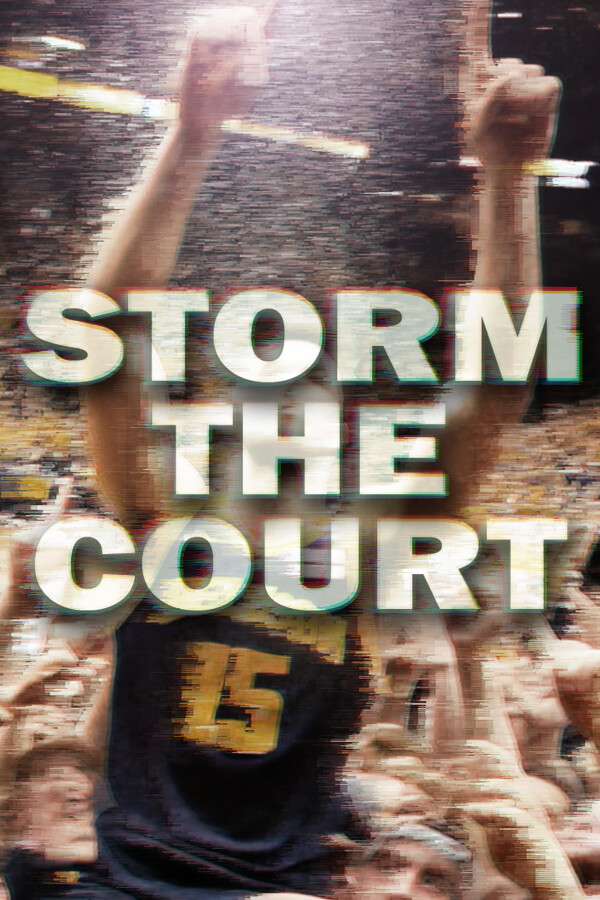 Steam portrait for Storm The Court.