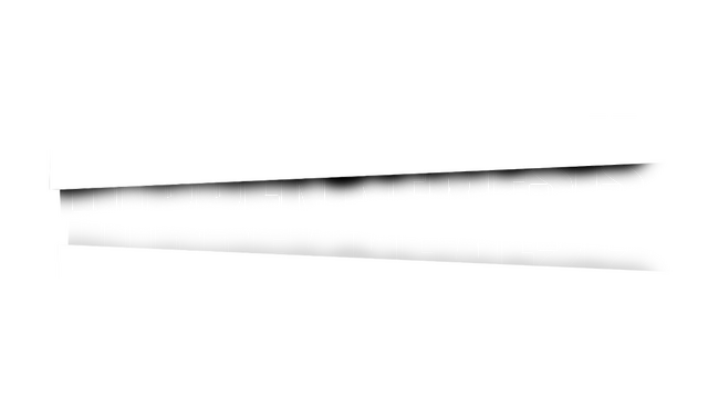 HIDDEN NEMESIS Logo