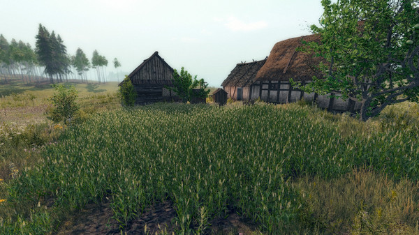 Скриншот из Life is Feudal: Your Own