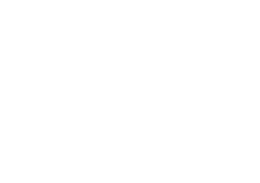 Platform 8 Logo