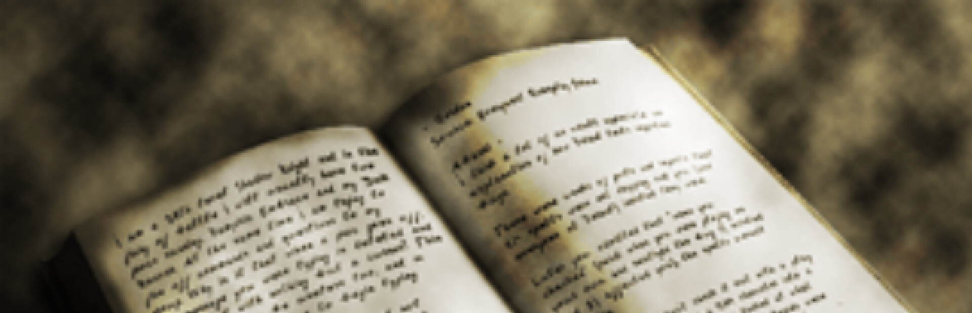 Legionwood 2: Rise of the Eternal's Realm - Director's Cut