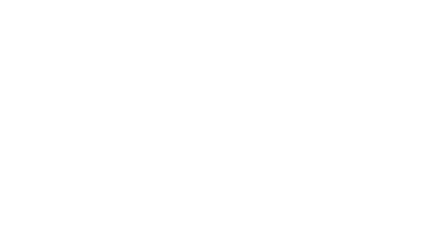 PIRORO Logo