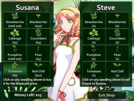 Flower Shop: Summer In Fairbrook game for Linux 1