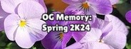 OG Memory: Spring 2K24 System Requirements