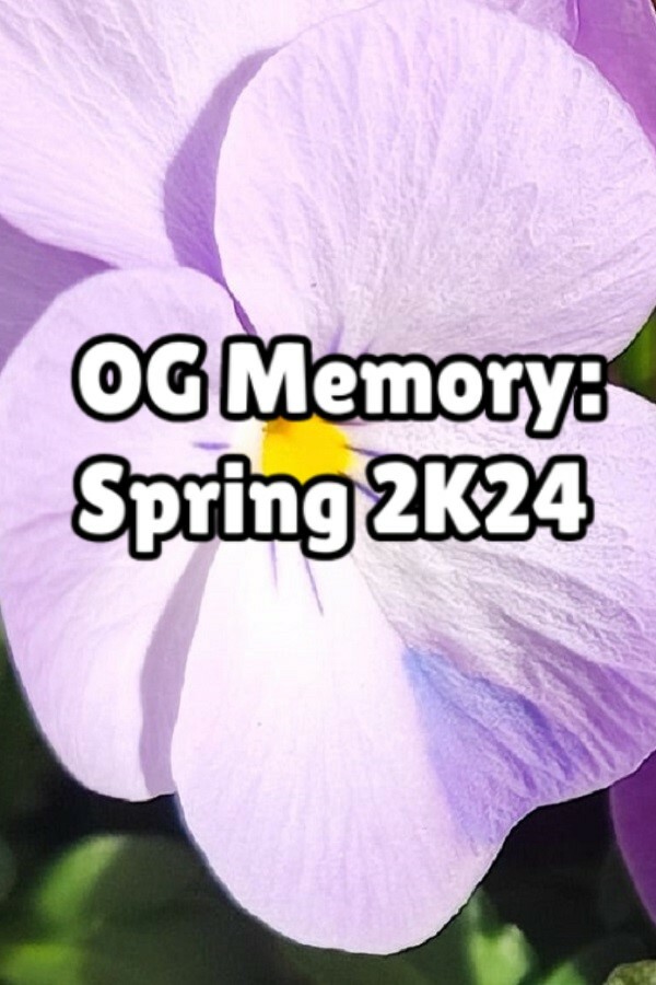 OG Memory: Spring 2K24 for steam