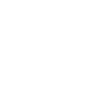Haus Of Irndrous Logo