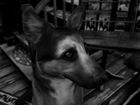 Скриншот из The Last Crown: Midnight Horror
