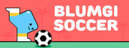 Blumgi Soccer System Requirements