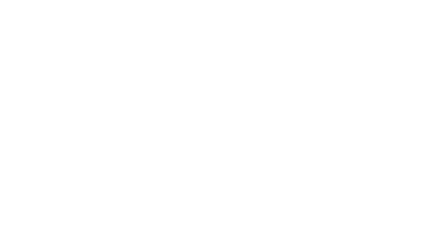 Blumgi Soccer Logo