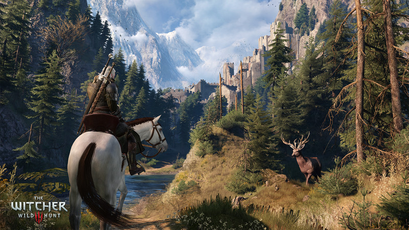 The Witcher 3 Wild Hunt Steamsale ゲーム情報 価格