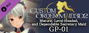 CUSTOM ORDER MAID 3D2 Mature, Level-Headed, and Dependable Secretary Maid GP-01