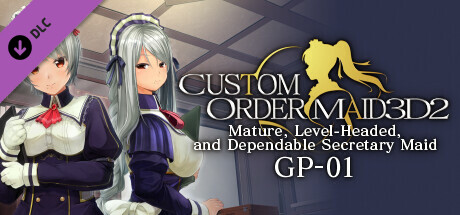 CUSTOM ORDER MAID 3D2 Mature, Level-Headed, and Dependable Secretary Maid GP-01 cover art