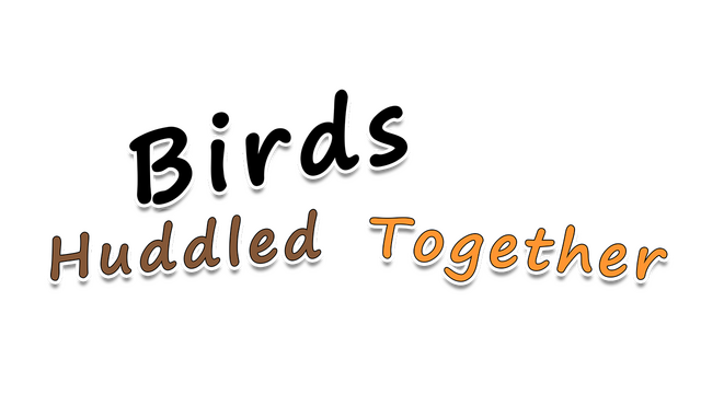 Birds Huddled Together Logo