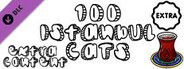 100 Istanbul Cats - Extra Content