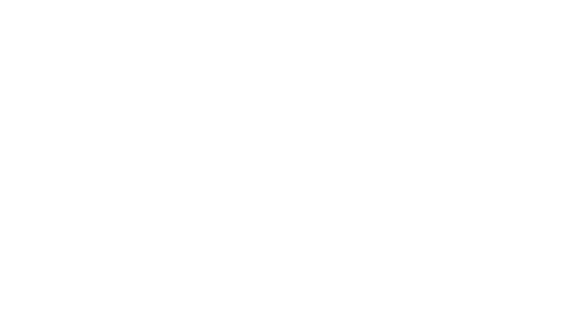 AkuNet; nameless Logo