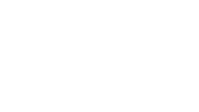 Stella Logo