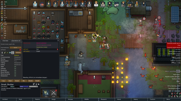 RimWorld v1 1 2592