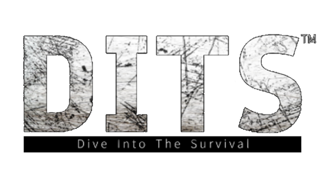 Dive Into The Survival Logo