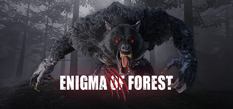 Enigma Of Forest cover art