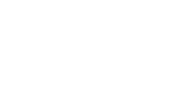 Black Screen Logo