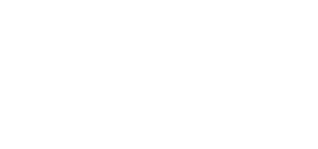 Stupid Space Shooter Logo