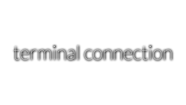 terminal connection Logo