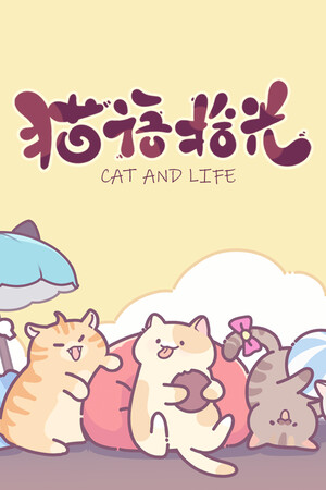 猫语拾光 Cat And Life