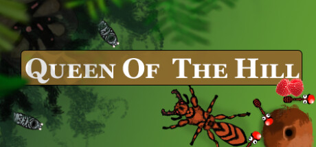 Queen Of The Hill Playtest cover art