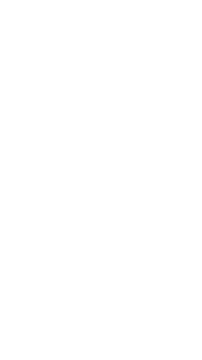 Pro Wrestling X Logo