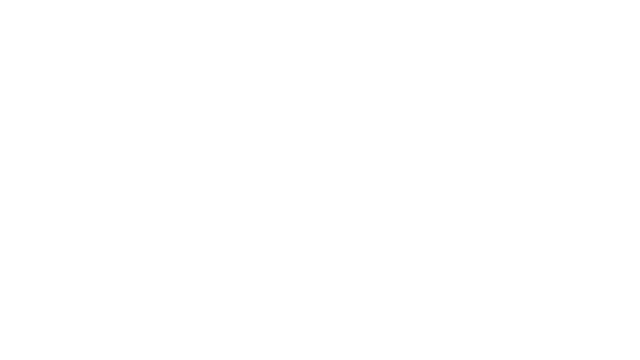 Styria Logo