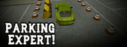 Parking Expert! System Requirements
