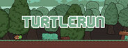 TurtleRun System Requirements