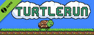 TurtleRun Demo