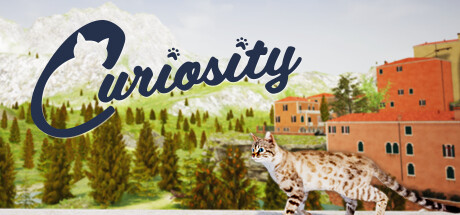 Curiosity cover art