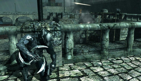 Dark Sector