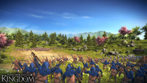 Скриншот из Total War Battles: KINGDOM